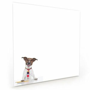 Primedeco Küchenrückwand Spritzschutz Glas Hund mit Krawatte