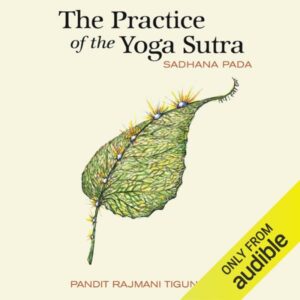 The Practice of the Yoga Sutra: Sadhana Pada , Hörbuch, Digital, ungekürzt, 637min
