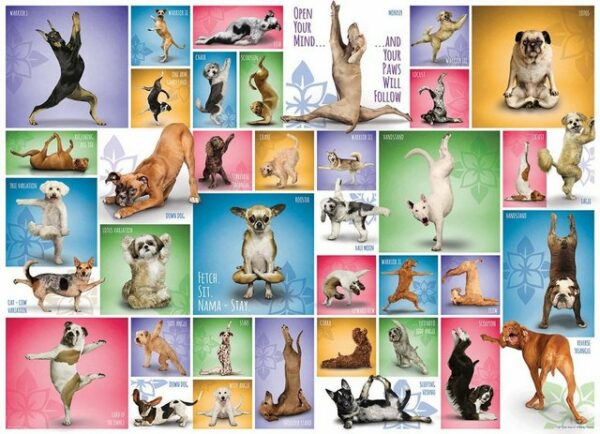 empireposter Puzzle Yoga Hunde - 1000 Teile Puzzle im Format 68x48 cm, Puzzleteile