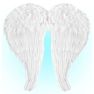 Engelsflügel mit weißen Federn 51x46cm für Kostüme