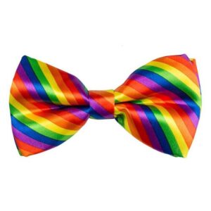 Widdmann Krawatte Fliege regenbogenfarben Fliege mit Gummiband für Karneval, Zirkus oder Bühne