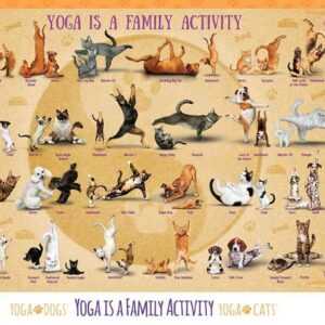 Eurographics 6500-5354 - Yoga ist eine Familienaktivität , Puzzle, 500 Teile
