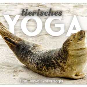 Tierisches Yoga - Eine Tierwelt voller Yogis. (Wandkalender 2024 DIN A2 quer), CALVENDO Monatskalender
