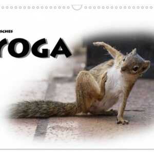 Tierisches Yoga (Wandkalender 2024 DIN A3 quer), CALVENDO Monatskalender