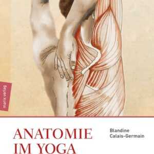 Anatomie im Yoga